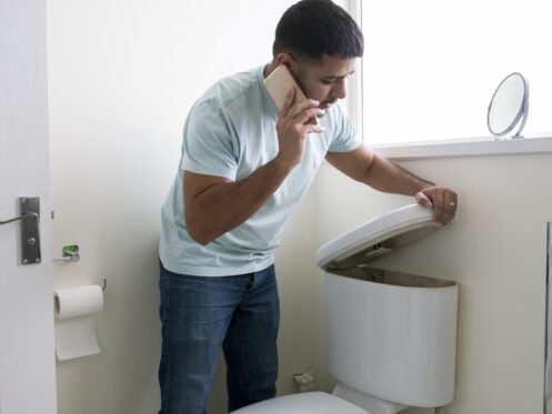 Toilet Repair in Albany, OR