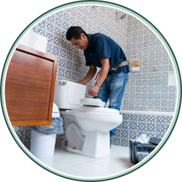 toilet services in albany